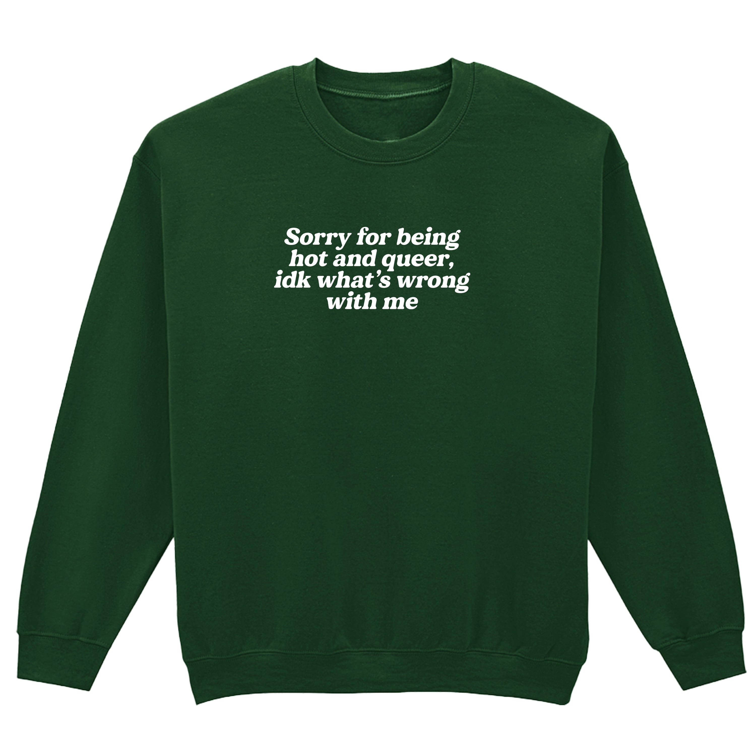 SORRY FOR BEING HOT AND QUEER SWEATSHIRT