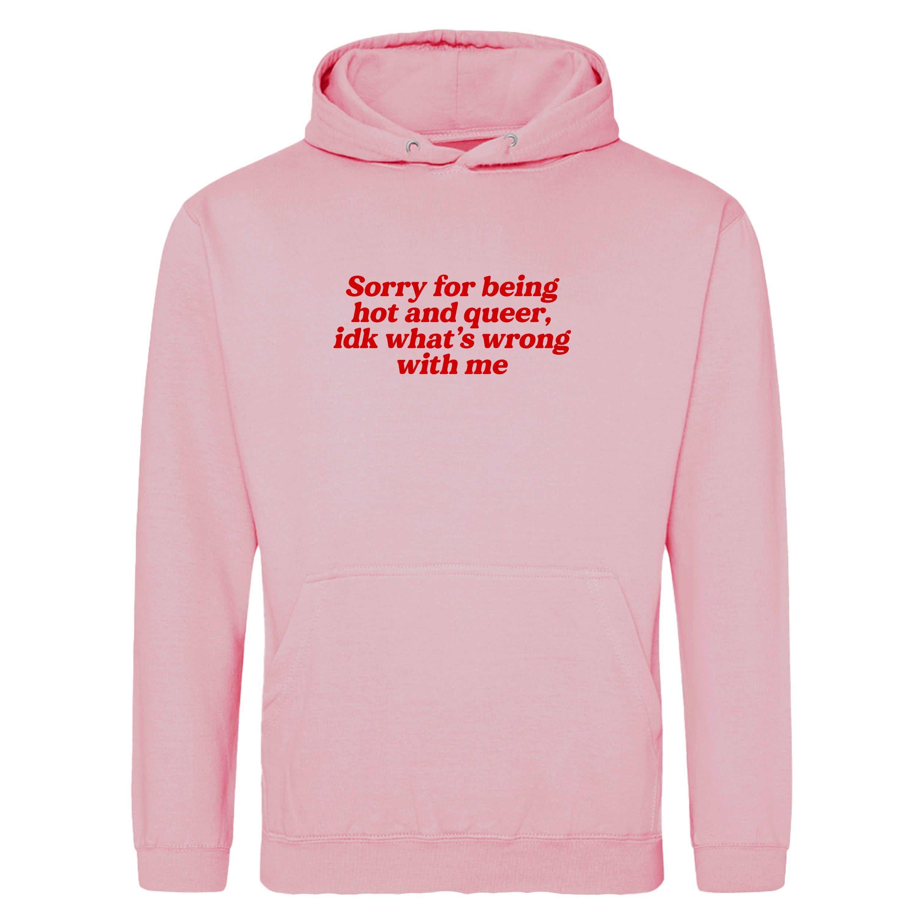 SORRY FOR BEING HOT AND QUEER HOODIE