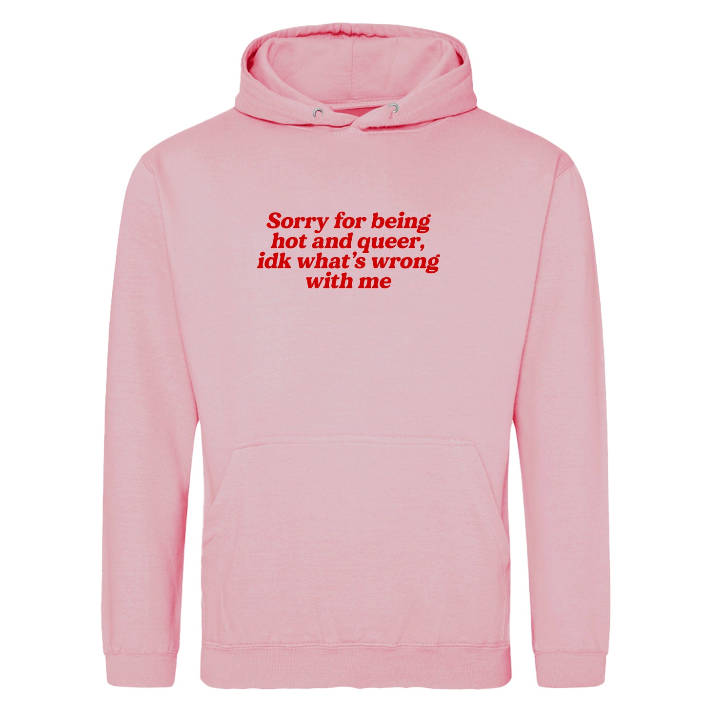 SORRY FOR BEING A HOT QUEER HOODIE