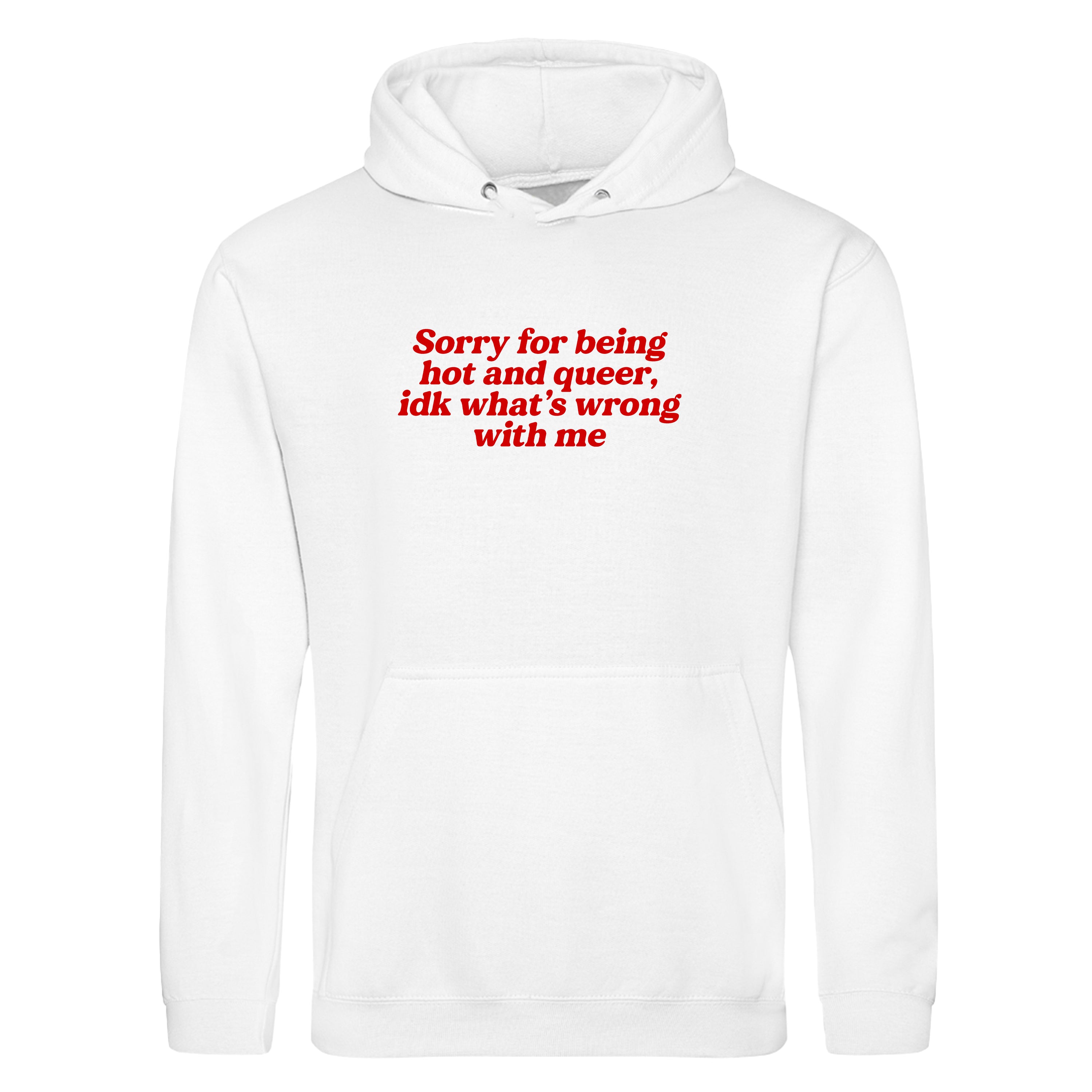SORRY FOR BEING HOT AND QUEER HOODIE
