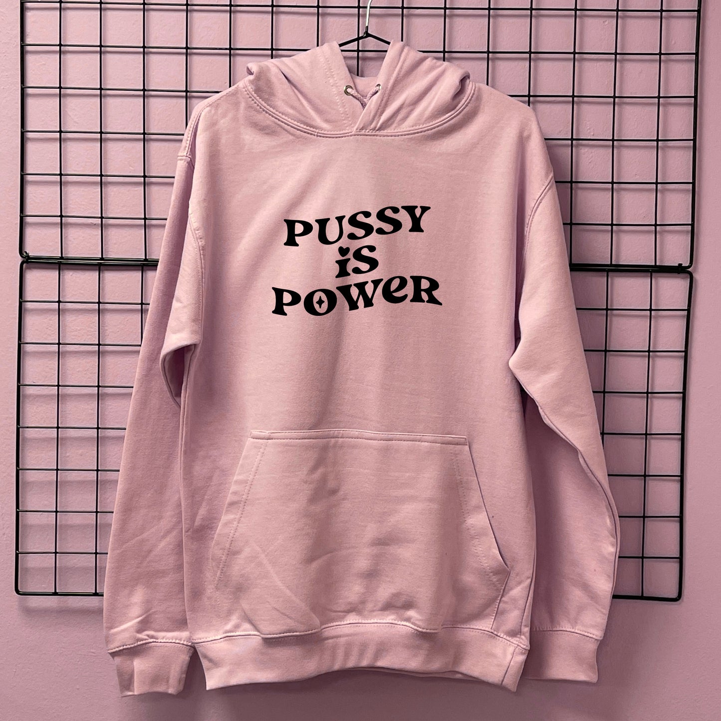 PUSSY IS POWER HOODIE