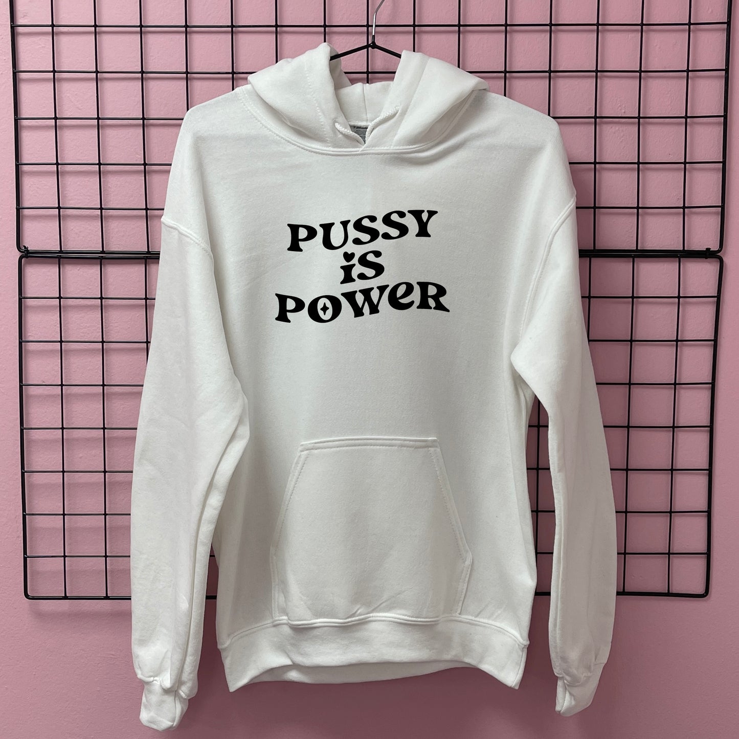 PUSSY IS POWER HOODIE