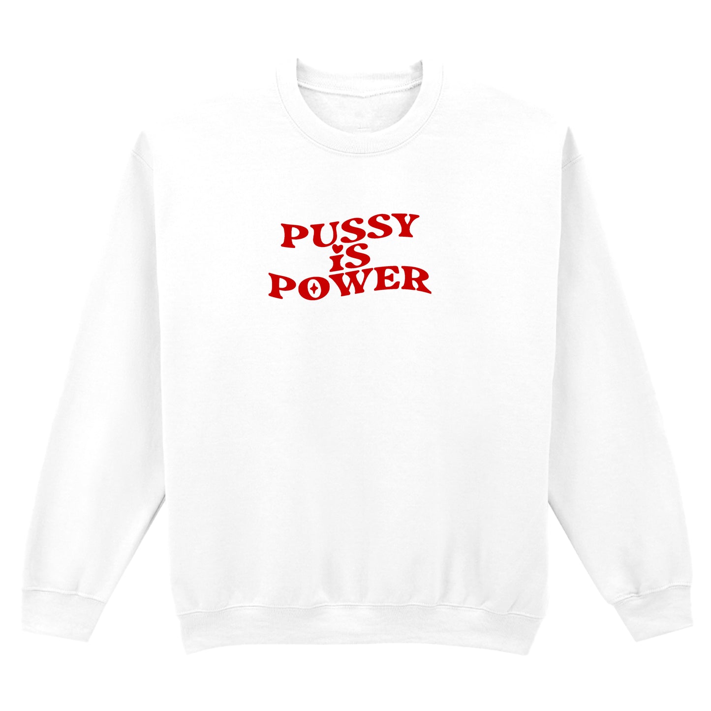 PUSSY IS POWER SWEATSHIRT