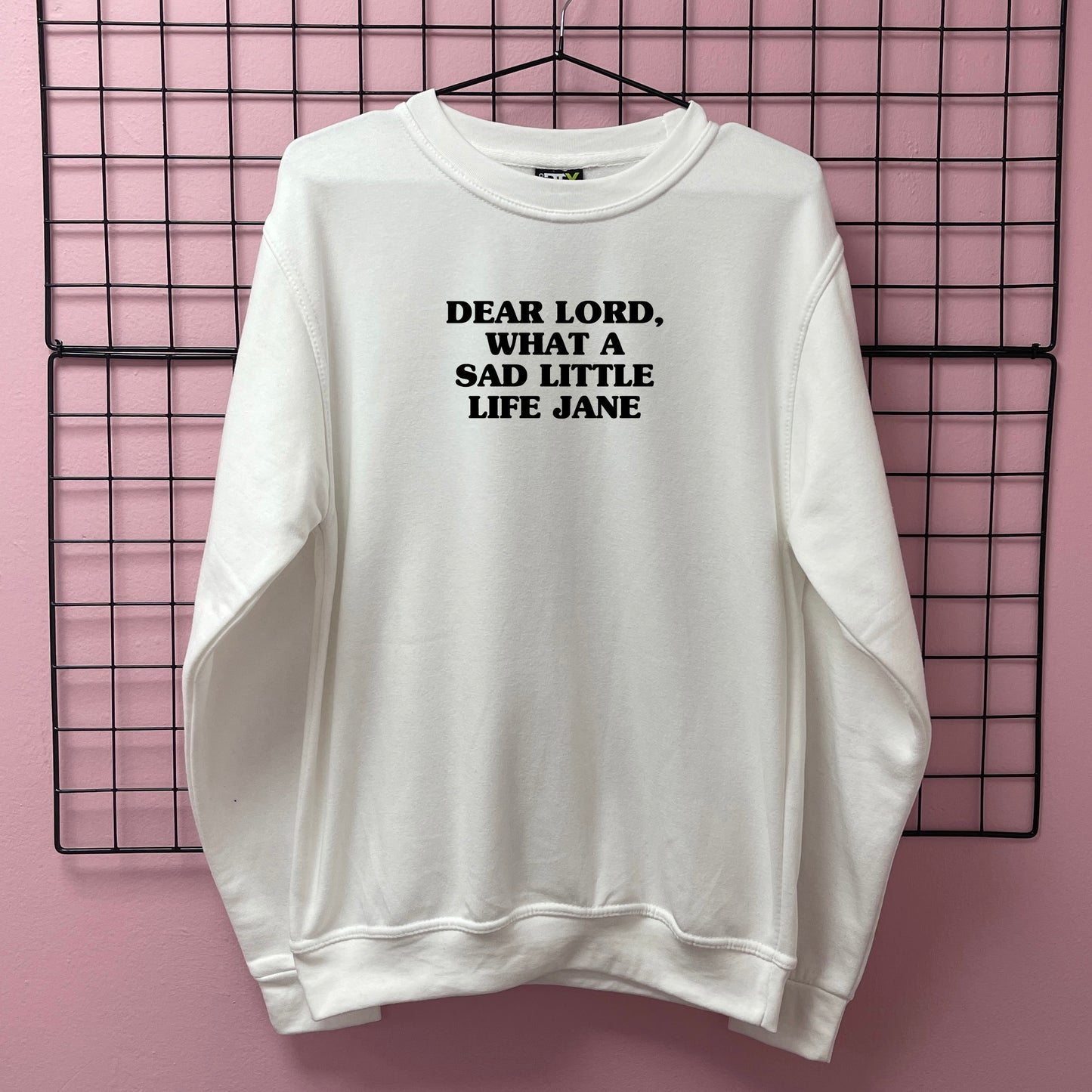 WHAT A SAD LITTLE LIFE JANE SWEATSHIRT