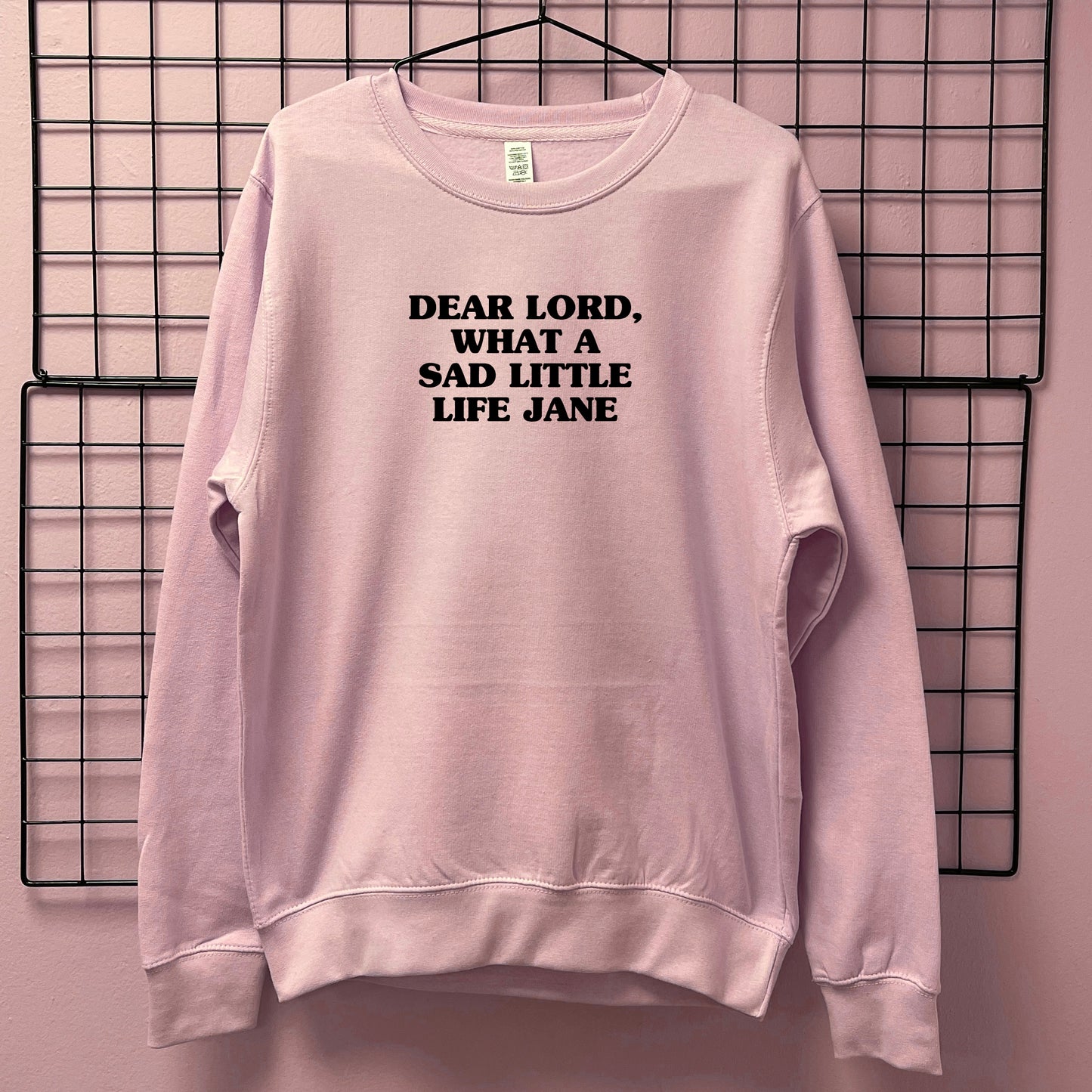 WHAT A SAD LITTLE LIFE JANE SWEATSHIRT