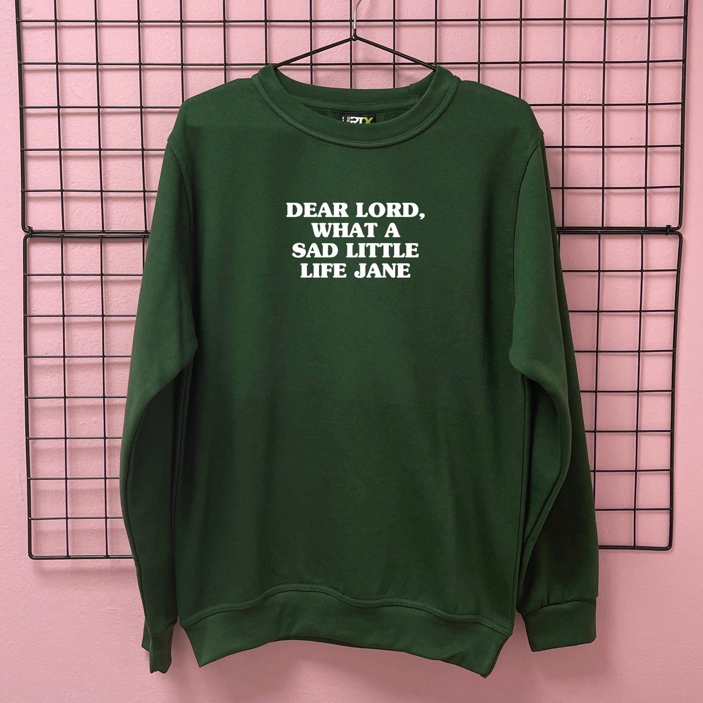 WHAT A SAD LITTLE LIFE JANE SWEATSHIRT