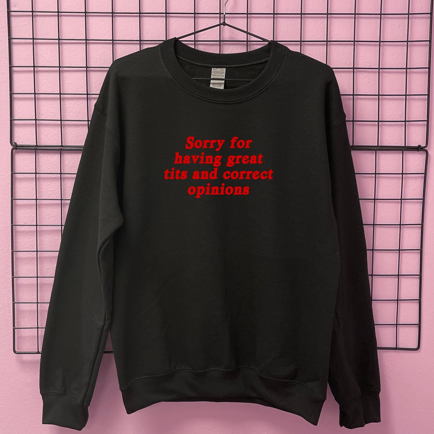 SORRY FOR HAVING GREAT TITS SWEATSHIRT