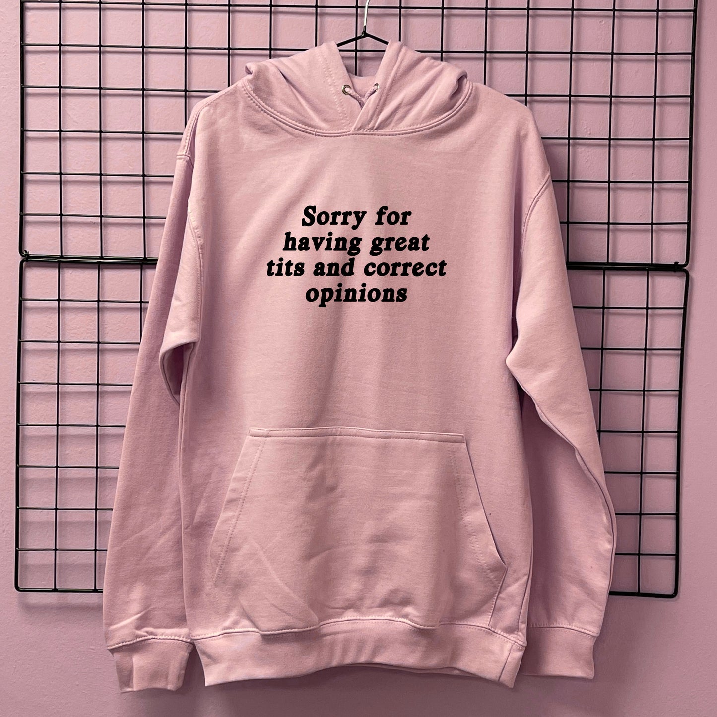SORRY FOR HAVING GREAT TITS HOODIE