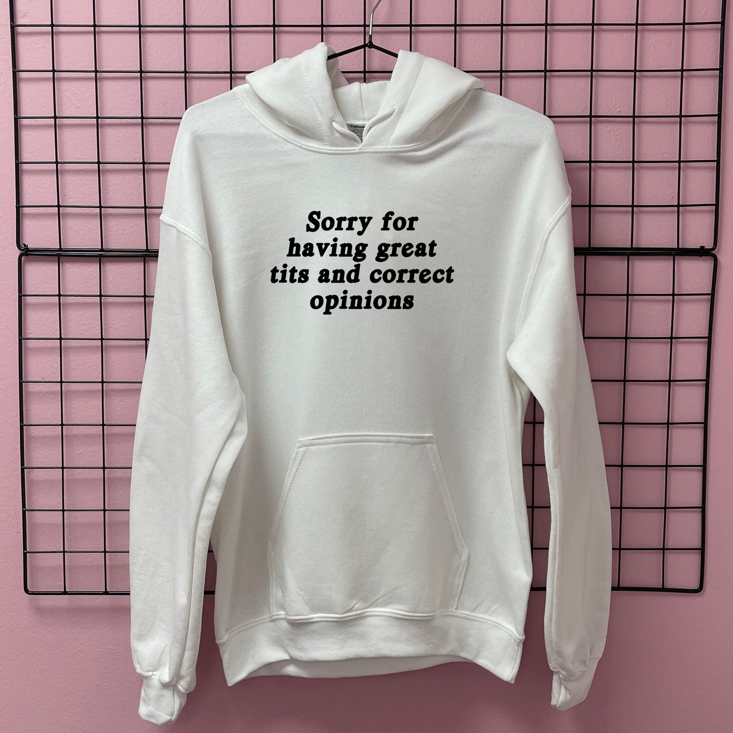 SORRY FOR HAVING GREAT TITS HOODIE