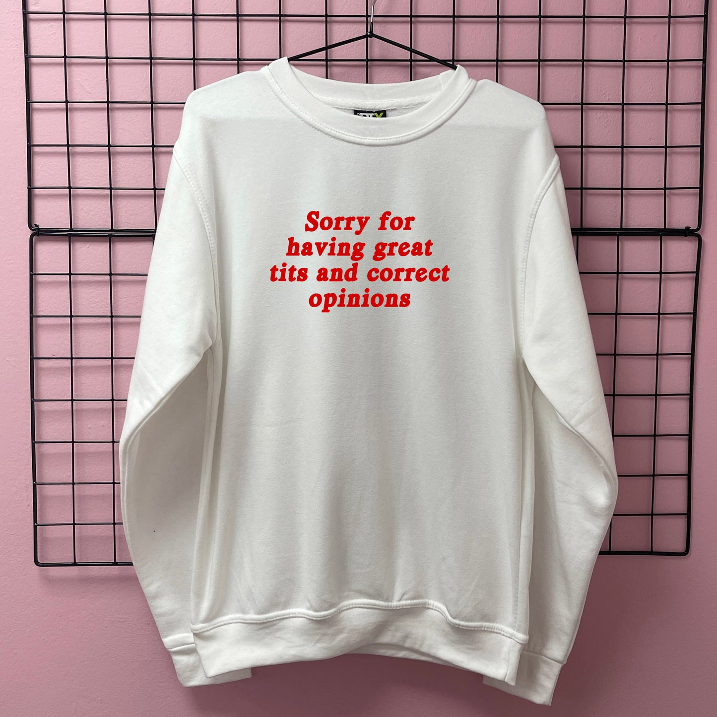 SORRY FOR HAVING GREAT TITS SWEATSHIRT