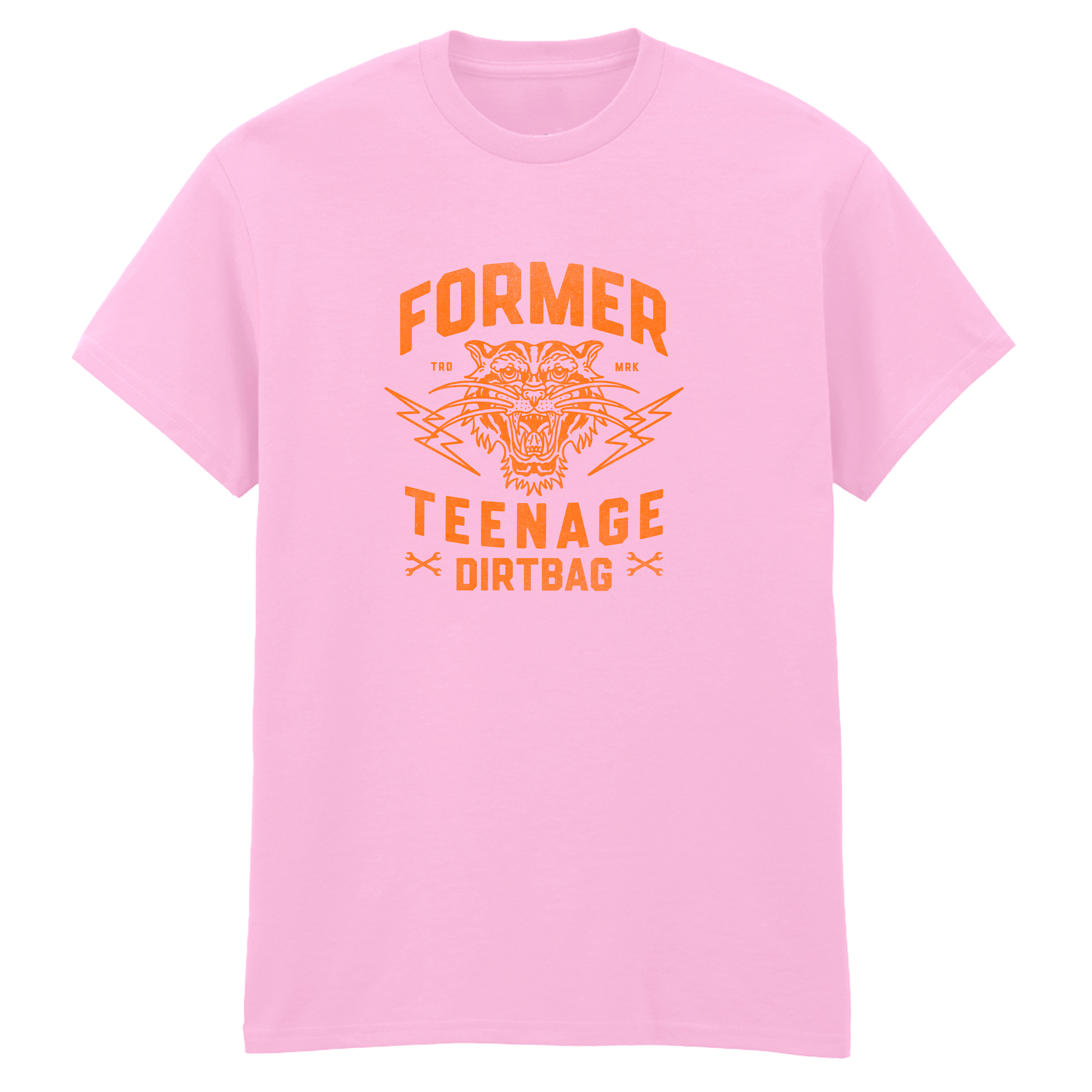 FORMER TEENAGE DIRTBAG T-SHIRT