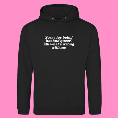 SORRY FOR BEING A HOT QUEER HOODIE