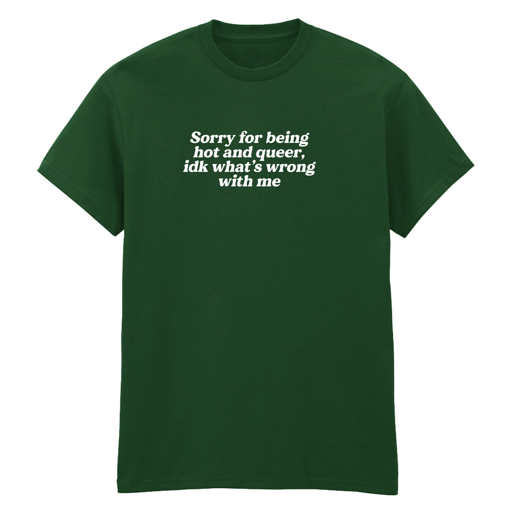 SORRY FOR BEING HOT AND QUEER T-SHIRT