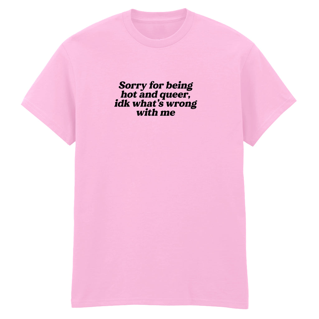 SORRY FOR BEING HOT AND QUEER T-SHIRT