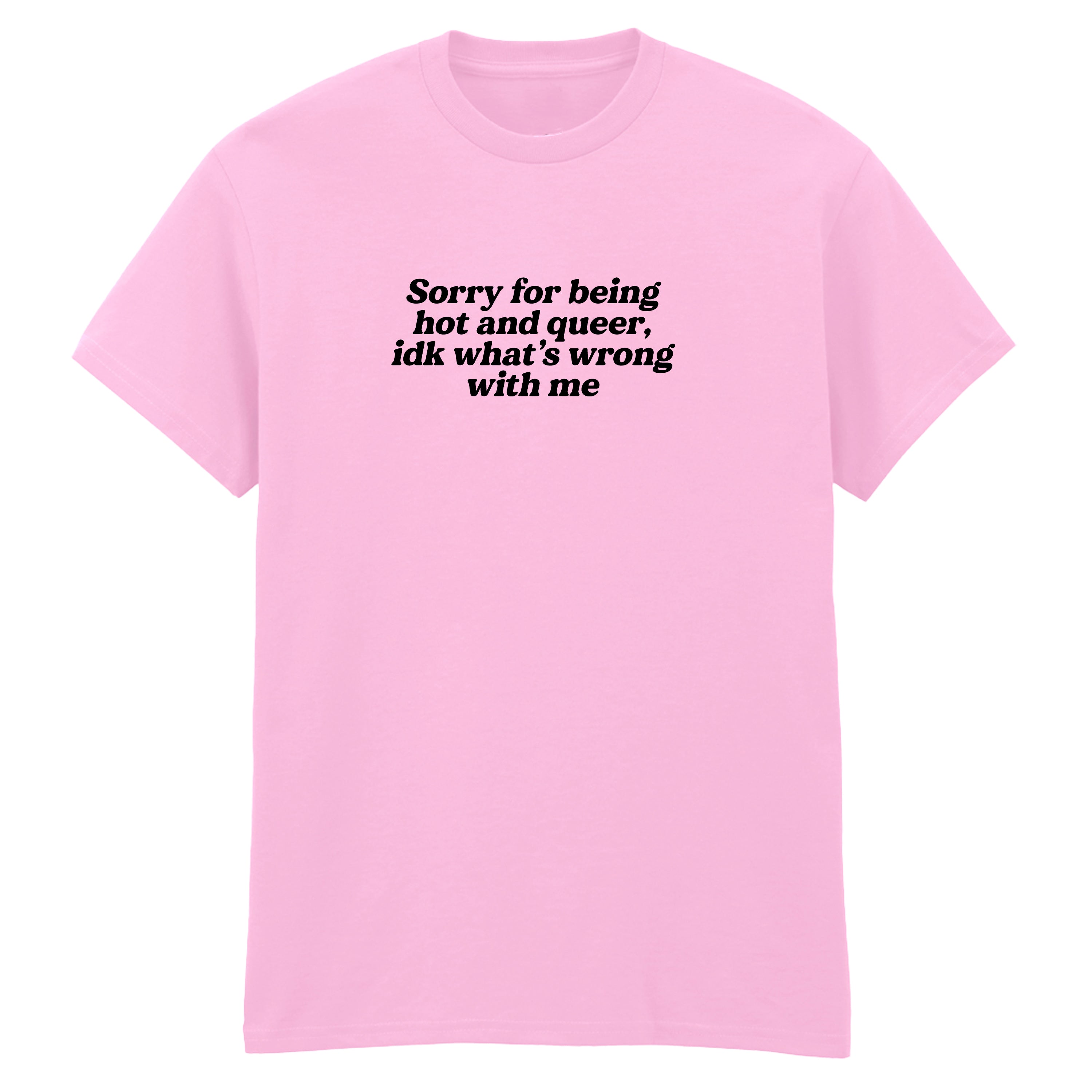 SORRY FOR BEING HOT AND QUEER T-SHIRT