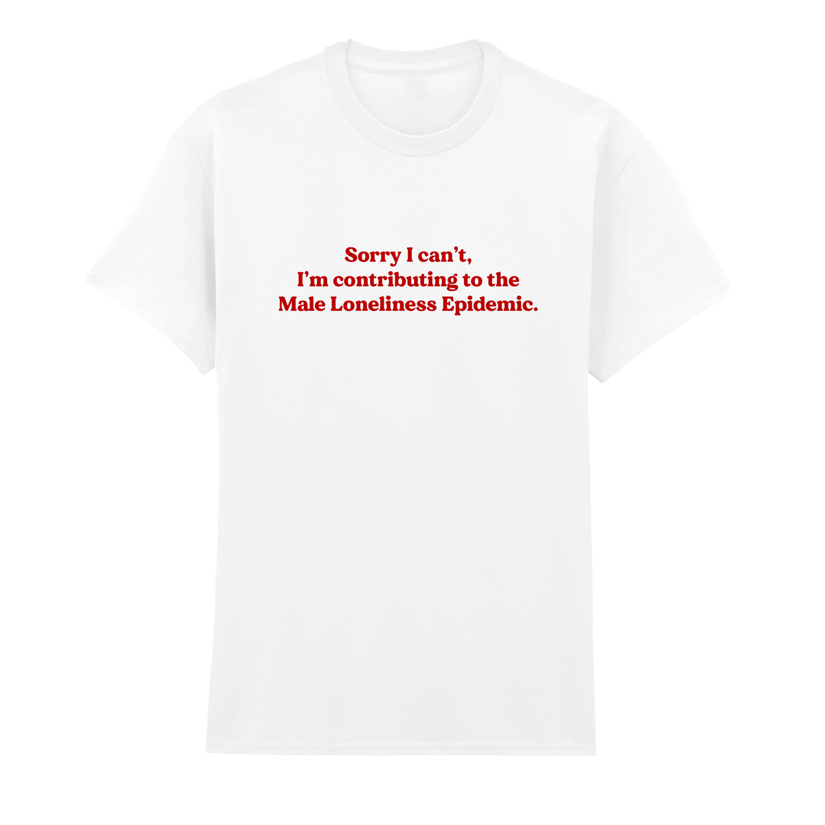 MALE LONELINESS EPIDEMIC T-SHIRT
