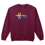 HAVING A MELTDOWN SWEATSHIRT