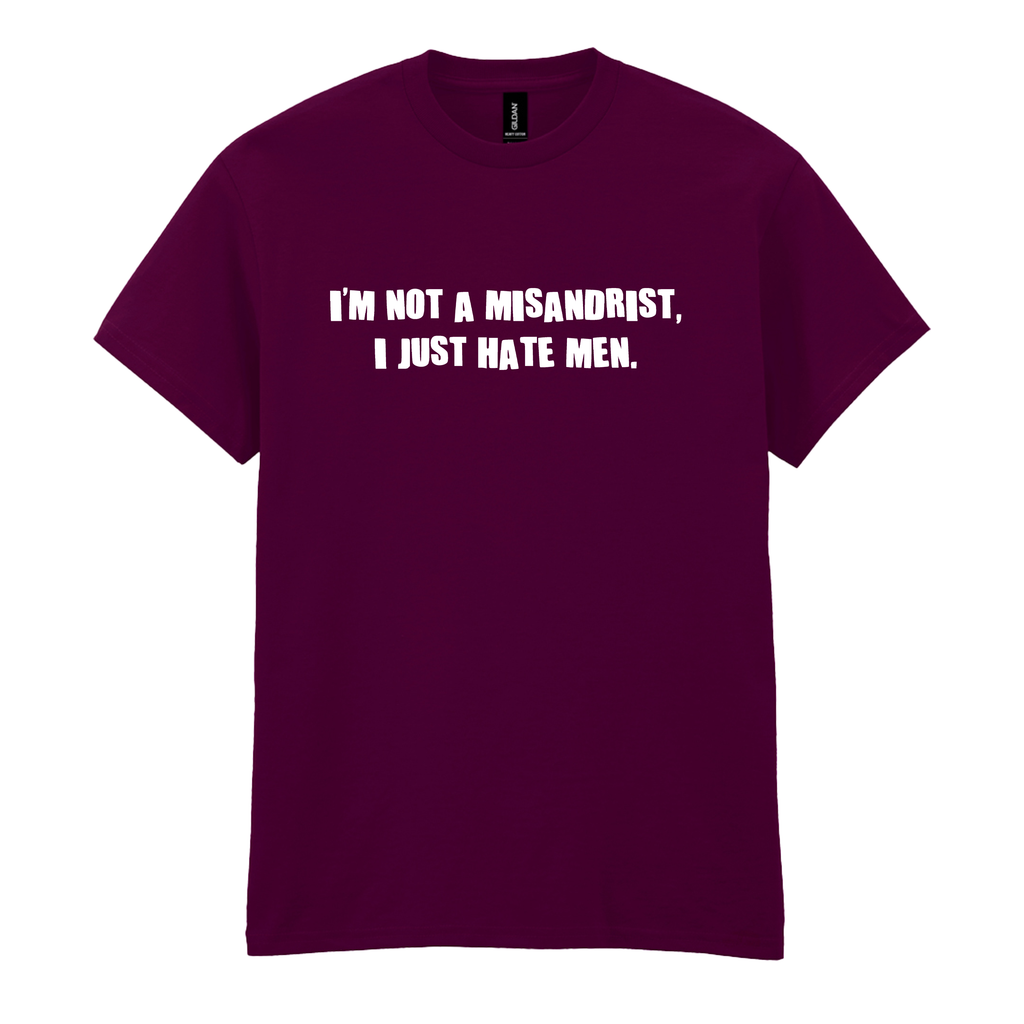 I'M NOT A MISANDRIST, I JUST HATE MEN T-SHIRT