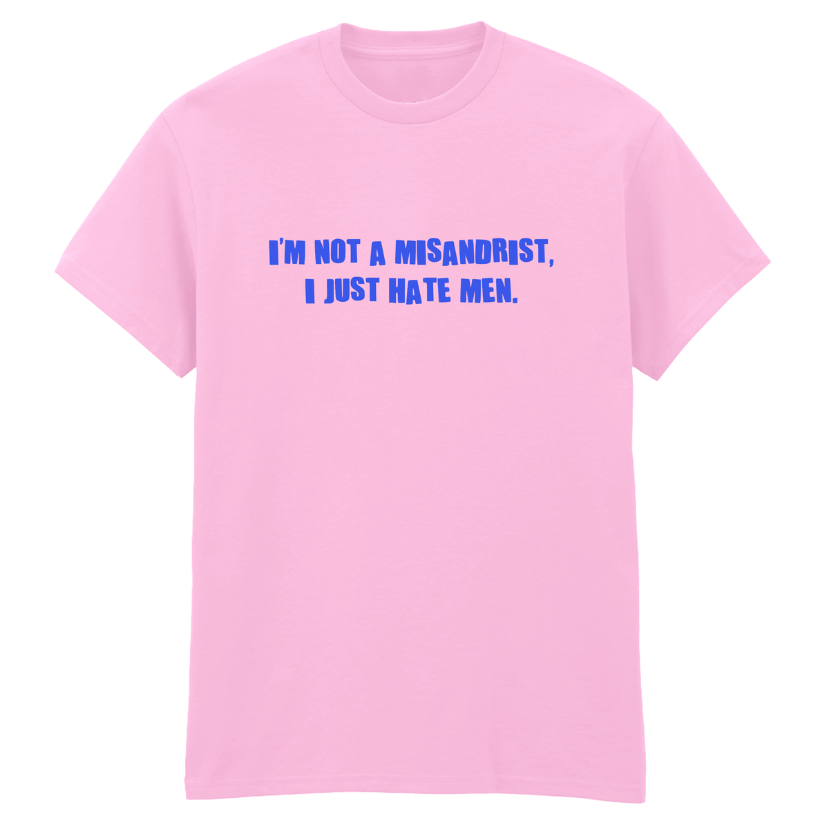 I'M NOT A MISANDRIST, I JUST HATE MEN T-SHIRT