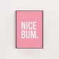 NICE BUM PRINT