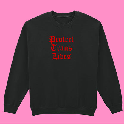 PROTECT TRANS LIVES SWEATSHIRT