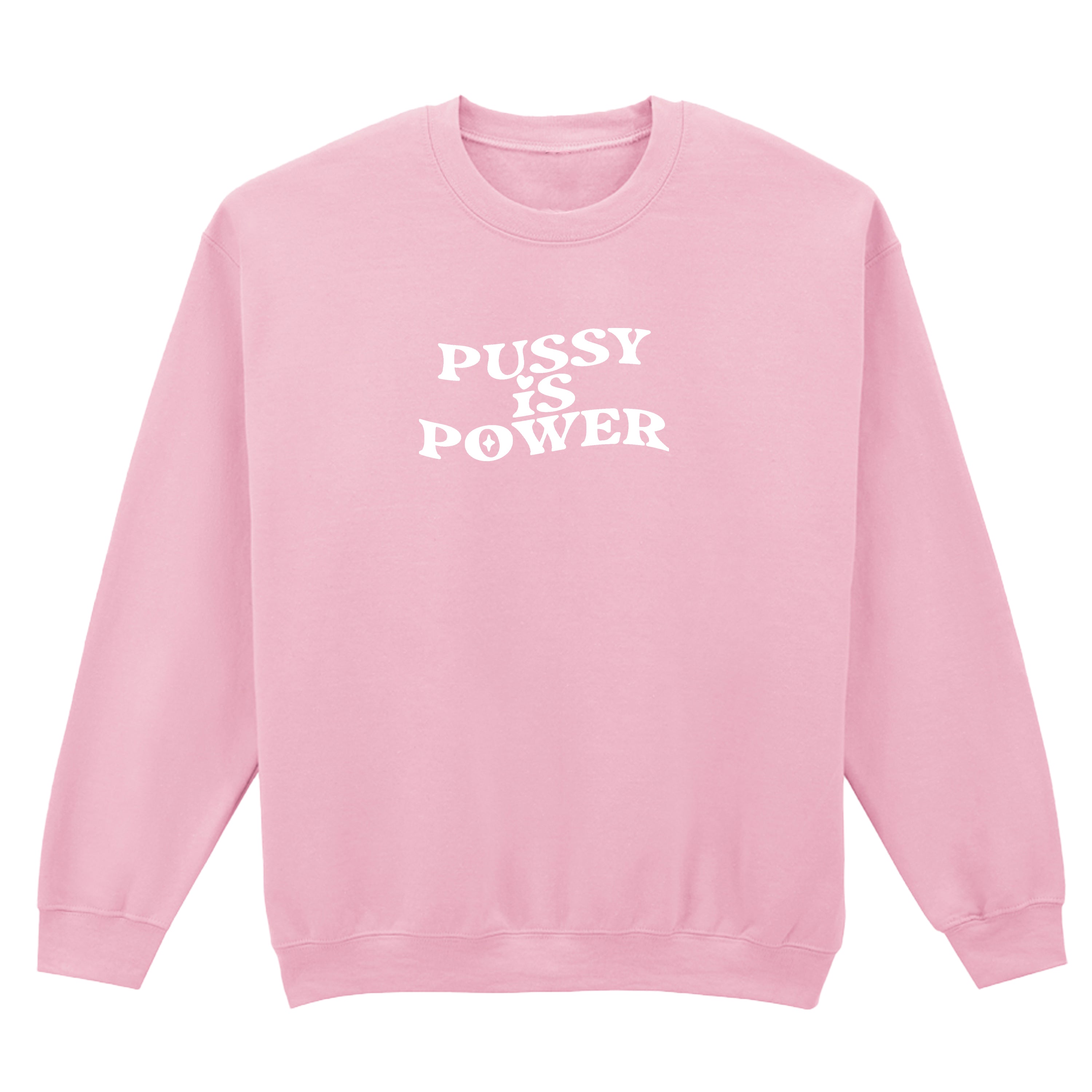 PUSSY IS POWER SWEATSHIRT