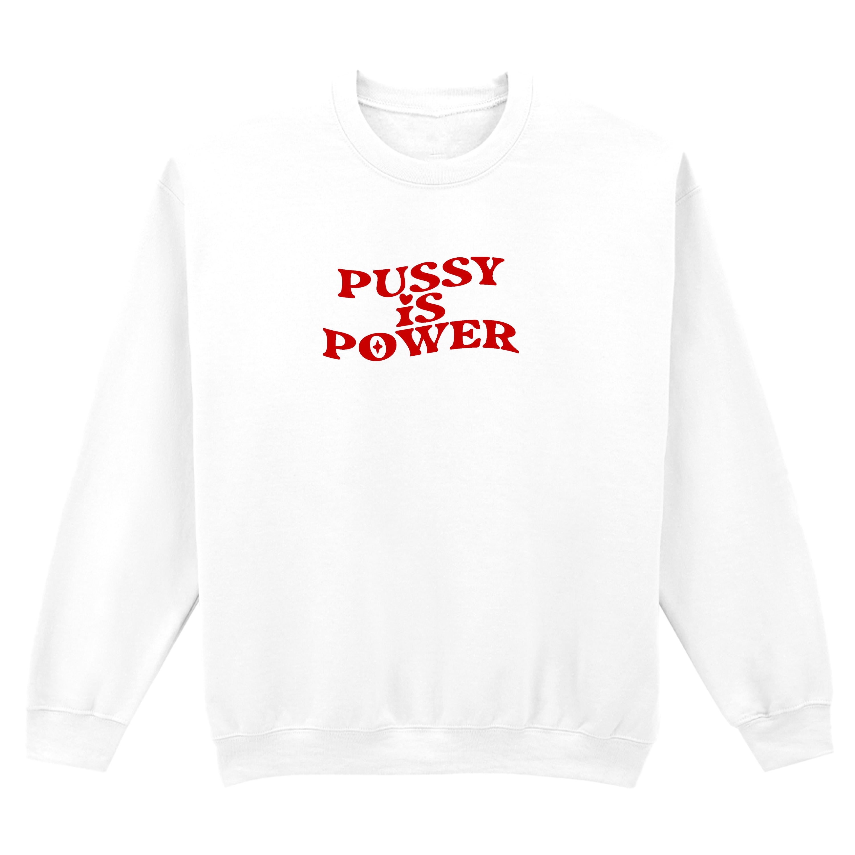 PUSSY IS POWER SWEATSHIRT