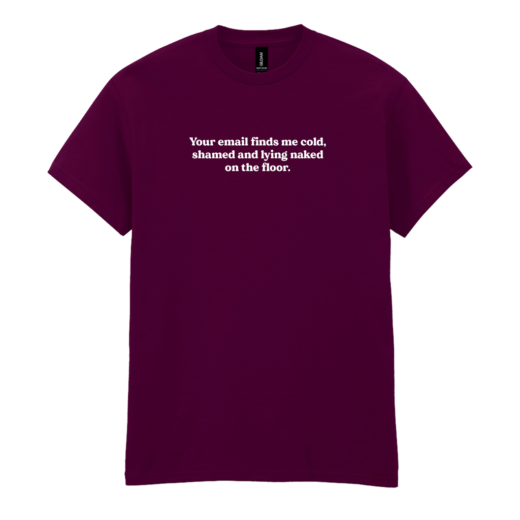 YOUR EMAIL FINDS ME SHAMED T-SHIRT