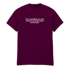 YOUR EMAIL FINDS ME SHAMED T-SHIRT