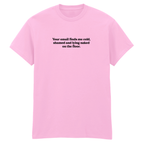 YOUR EMAIL FINDS ME SHAMED T-SHIRT